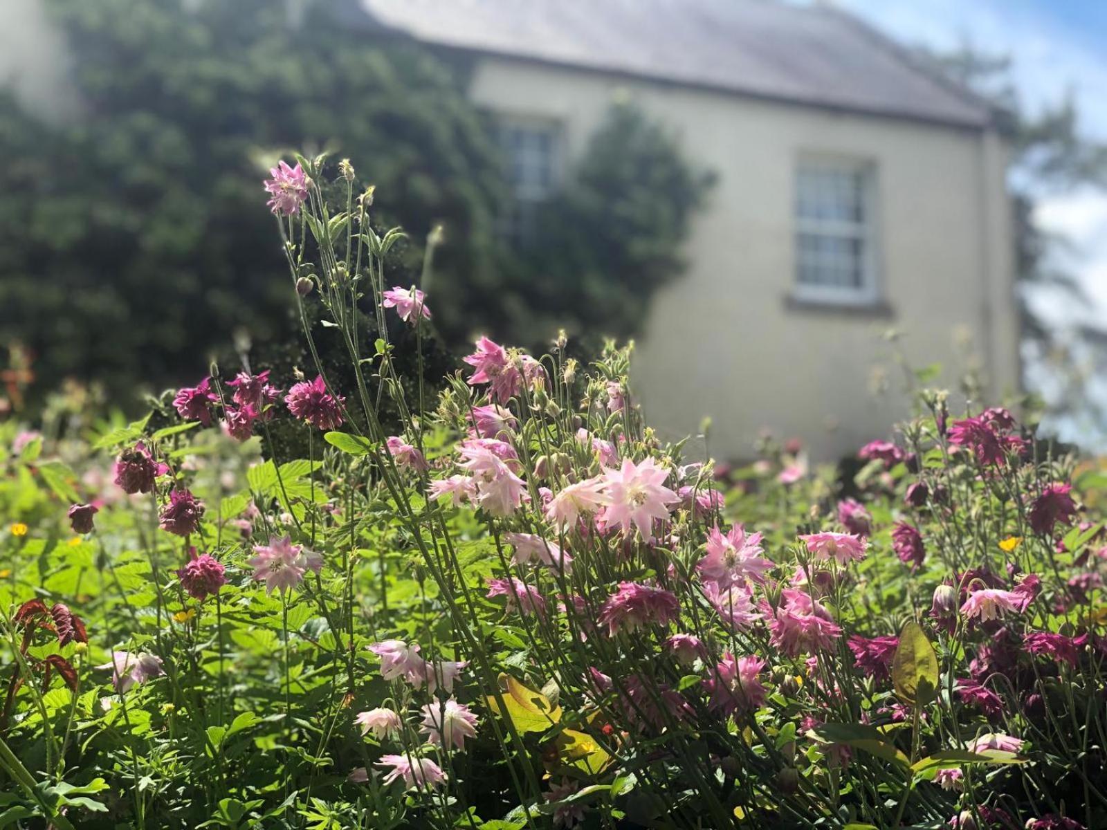 Dalton House Bed And Breakfast Luaran gambar